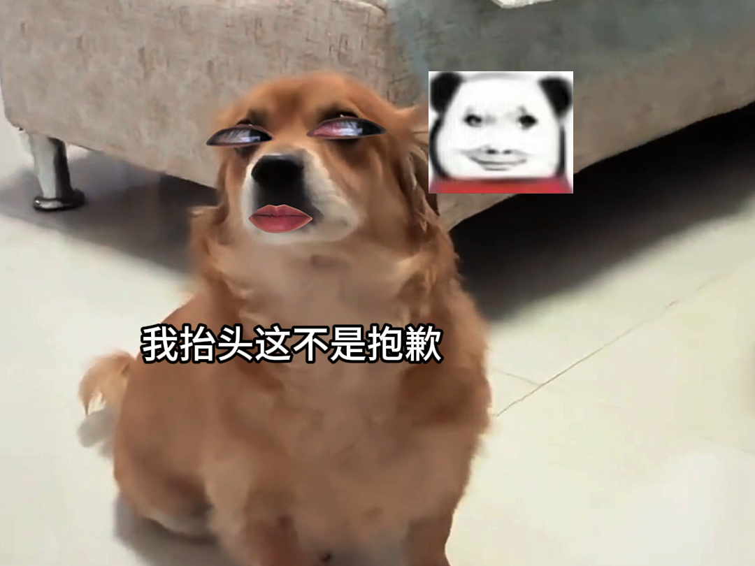 狗狗：呵呵，班门弄斧