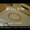 【NHK】新生物 3-橡皮筋