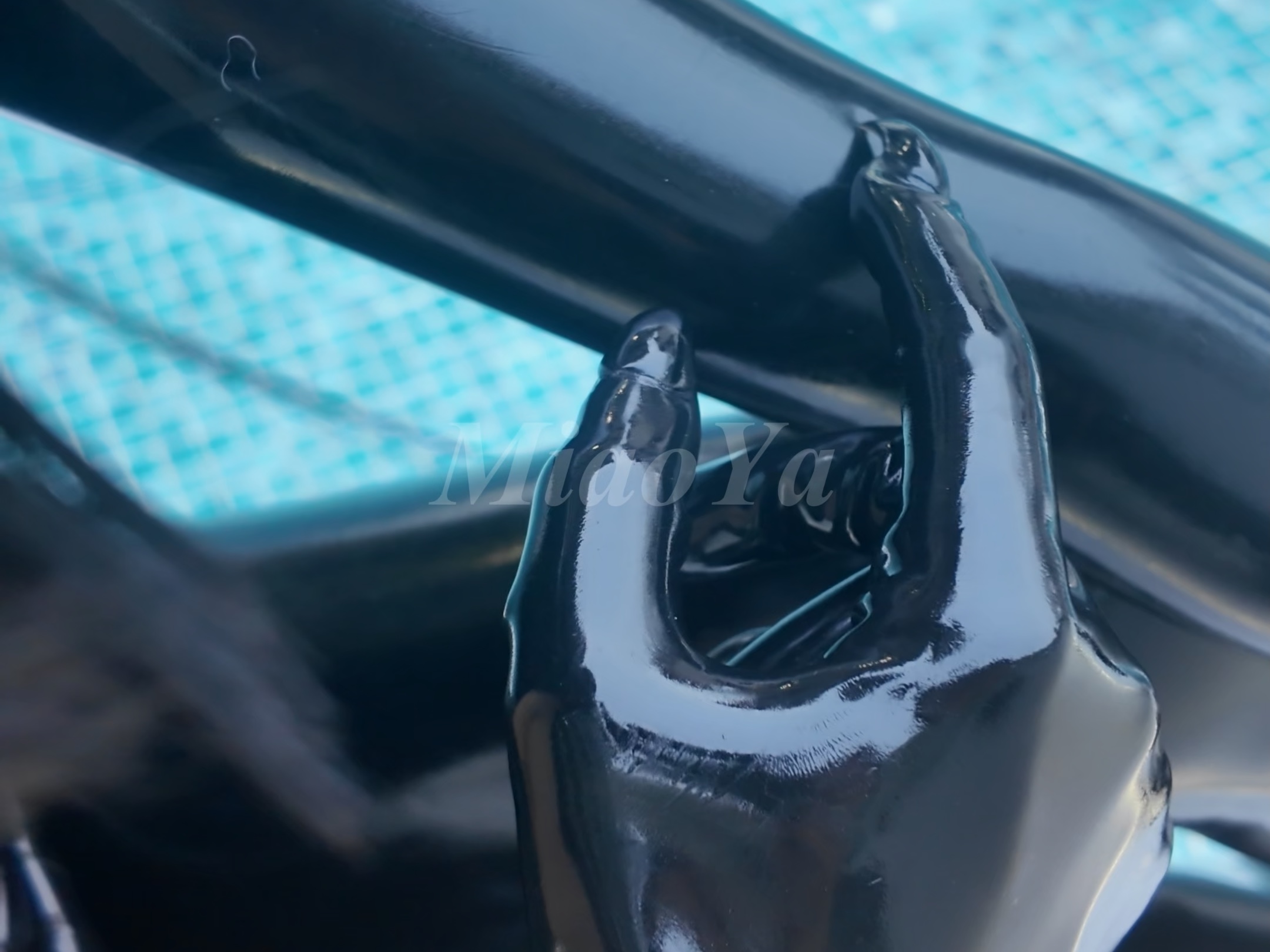 猜猫在写什么～