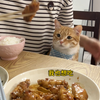 这跟小孩子吃饭有什么区别