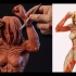 【雕塑】制作《进击的巨人》女巨人粘土雕像 / Dr. Garuda