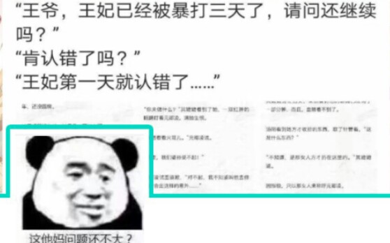 论王爷和王妃的沙雕爱情故事