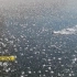 《吉林雾凇的形成》即第24届中国吉林国际雾凇冰雪节纪行