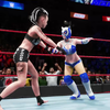 黑玫瑰和白虎妹子的极限法则赛WWE2K