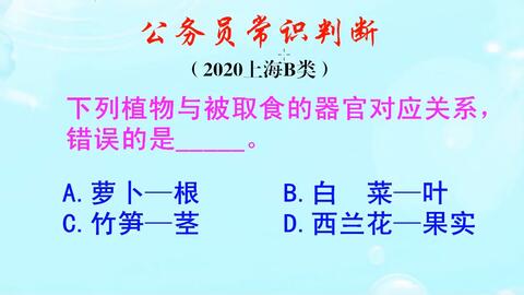 05f8f192475a47b5237a8716453e9a00802ba99e.jpg@480w_270h_1c