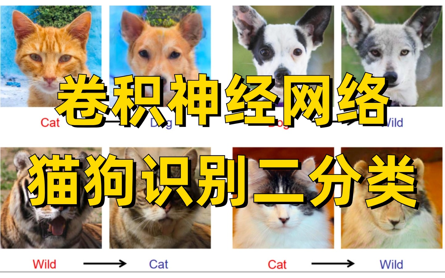 基于卷积神经网络的猫狗识别二分类实战，初学者必备的图像分类任务！
