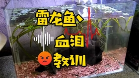 060abbfc3bf84293a614d344267fde7238755681.jpg@280w_158h_1c_100q.jpg