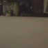 【Vlog】雪地里打滚