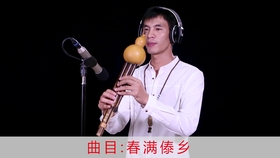李春华葫芦丝鸿雁曲谱_李春华大使(3)