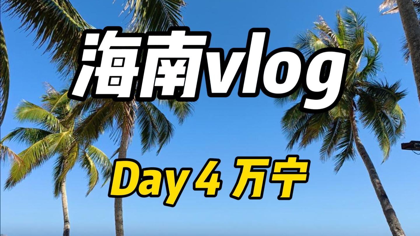 海南vlog day 4 万宁  在石梅湾独享沙滩🏖️