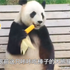 美欣：内蒙也有自己的棒子终结者
