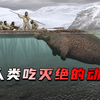 5种被人类吃灭绝的动物，从50亿只到彻底绝种，仅仅用了一百年