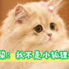 我的麻麻：楚楚可怜的   我：楚楚可念家的
