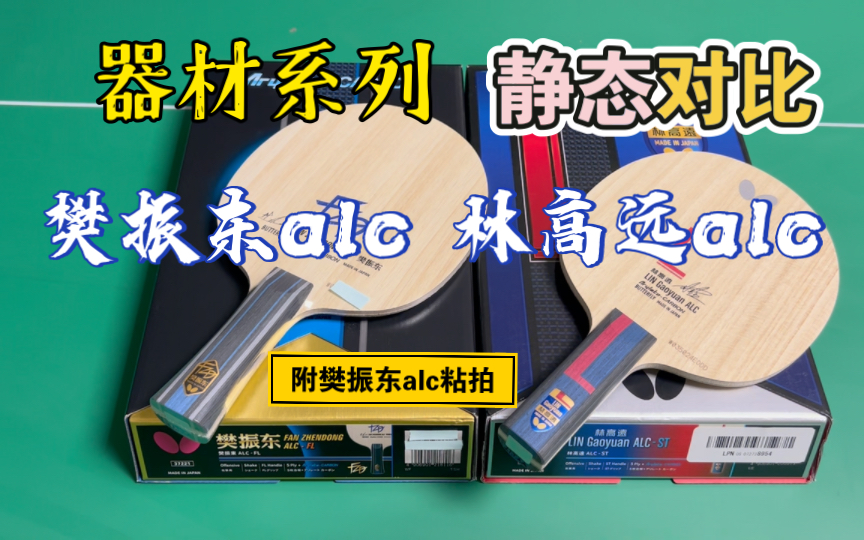 静态对比樊振东alc 和林高远alc#乒乓球#樊振东系列-哔哩哔哩