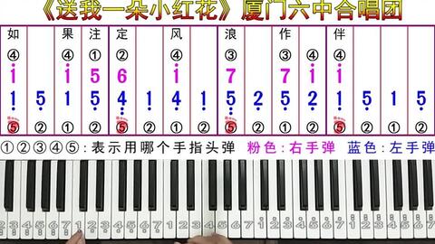 送你一朵小红花词曲谱子_送你一朵小红花谱子