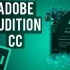 【AU（34全集）Adobe Audition CC 全套小白至进阶教学】一款专业音频工作站 数字音频编辑软件,创建、混