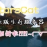 【Minectaft1.19.2】StarsCat生存服务器招新啦！支持基岩