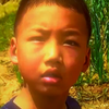 小孩：完了，奔俺爹俺奶来的