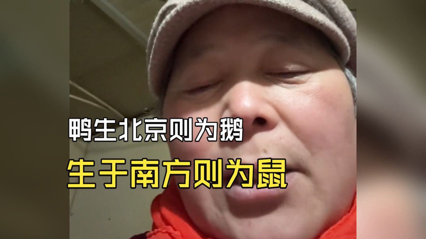 “鹅 腿 阿 姨 你 一 定 要 进 去 啊 ”