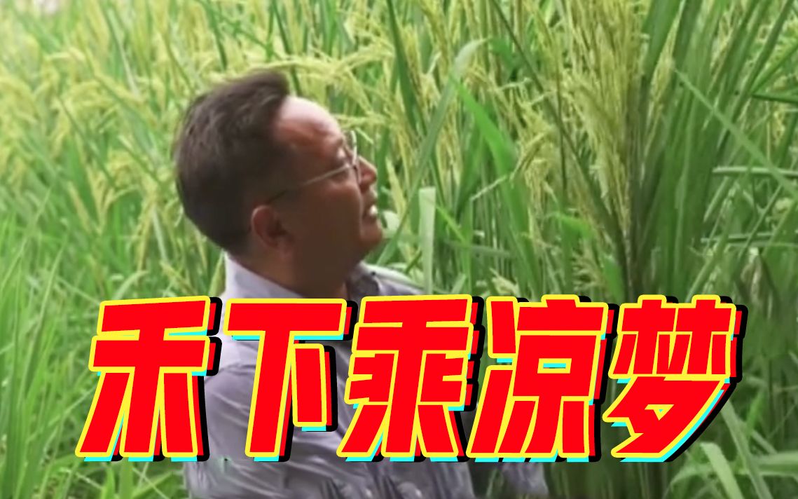 2米巨型稻试种成功！“袁老的禾下乘凉梦成真了”