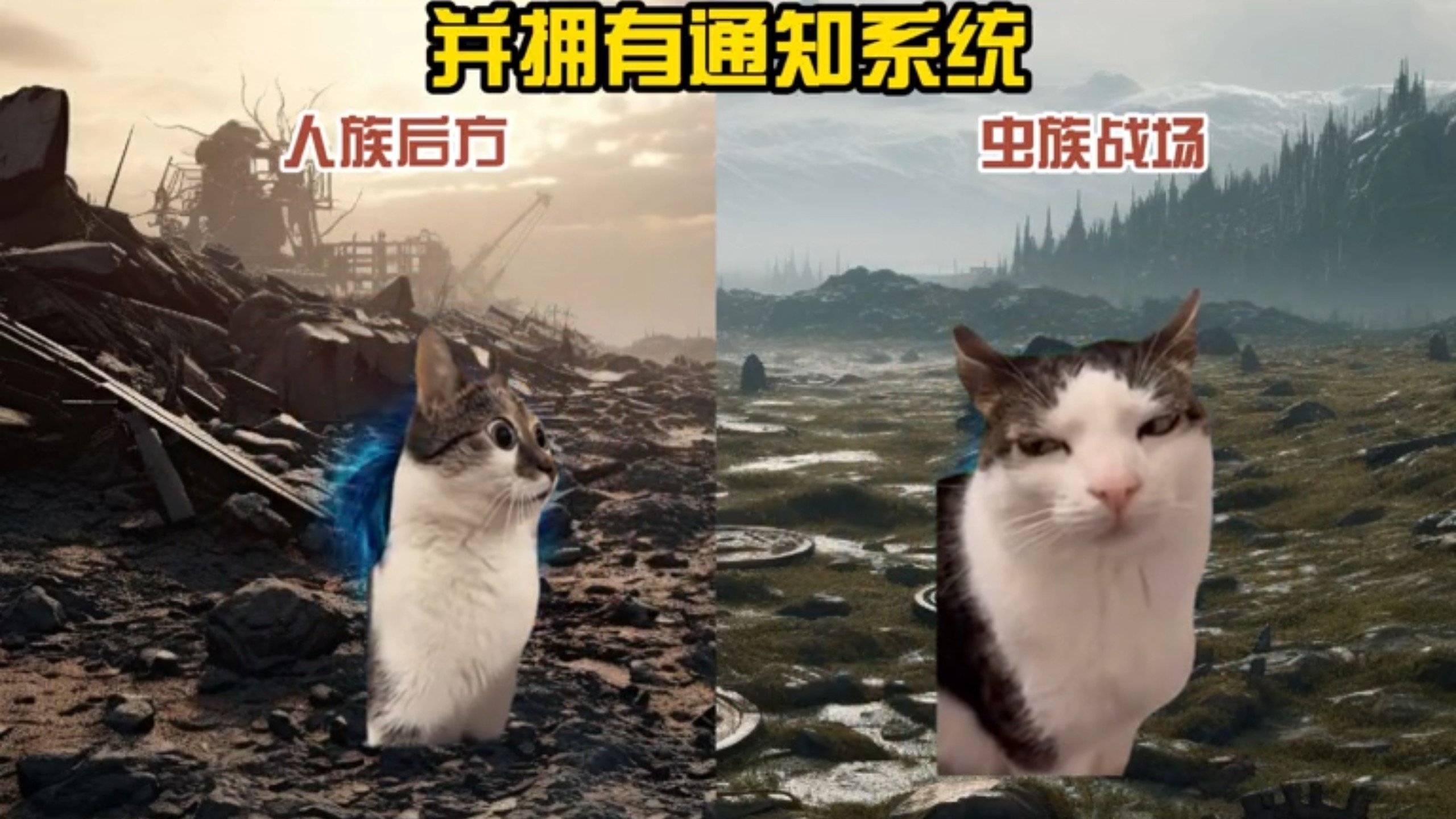 当你和好兄弟一起穿越到战锤世界