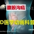 【3D医学动画科普】腹股沟疝（中英双语字幕）
