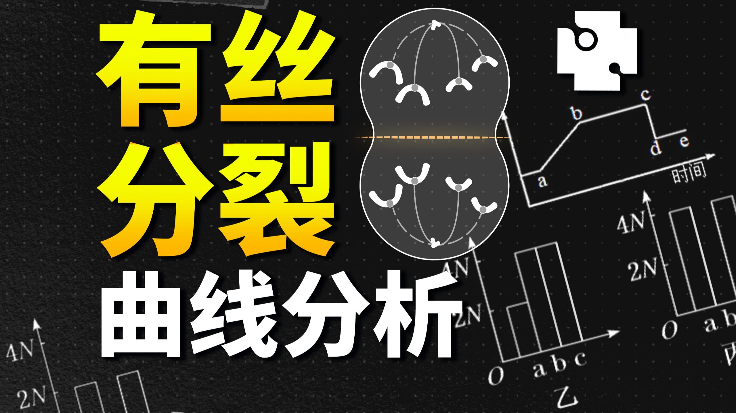 【高中生物】有丝分裂曲线分析