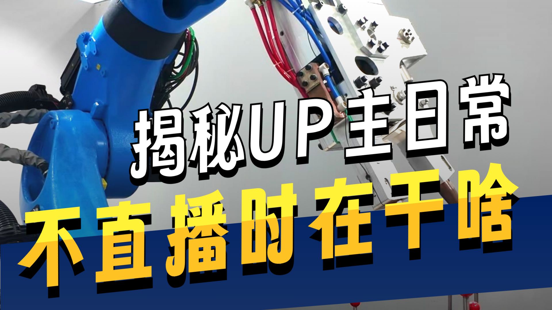 没直播的1天都在干嘛？