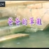 (稀有)张明敏《爸爸的草鞋》VCD-MV