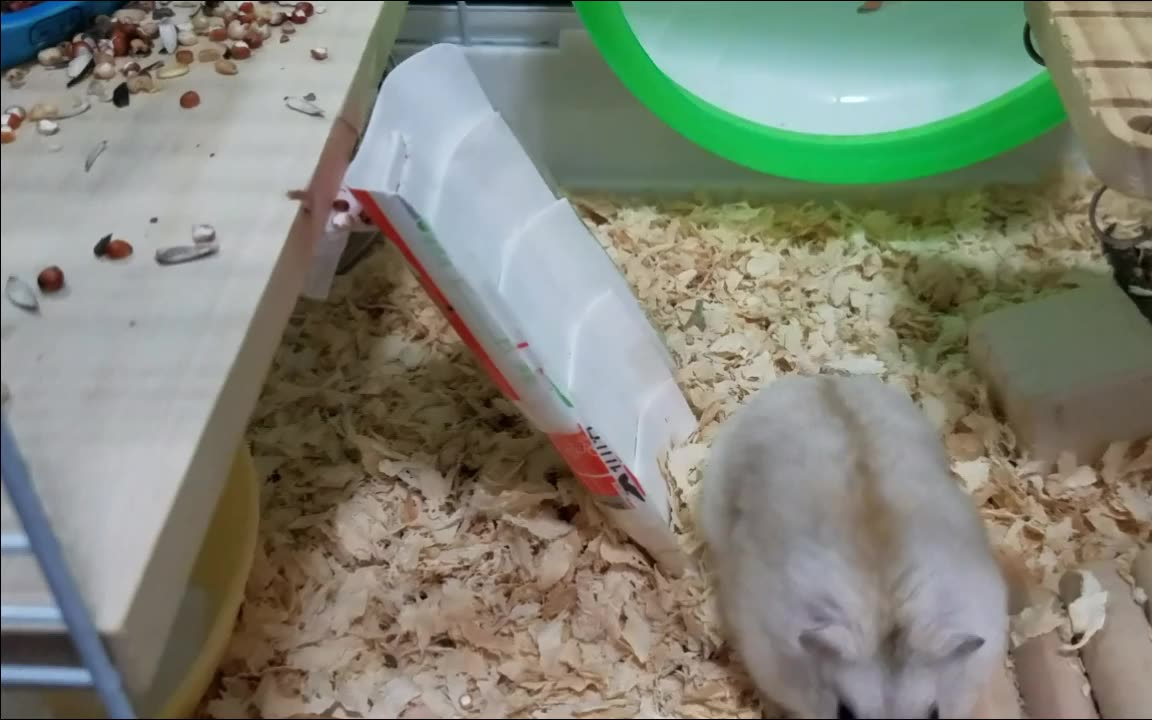 酸奶瓶diy仓鼠滑(爬)梯