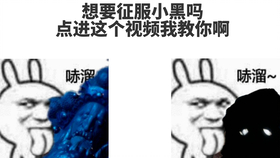 072e10e0c41f52d21ce8c39f200c5164edbcb358.png@280w_158h_1c_100q.jpg