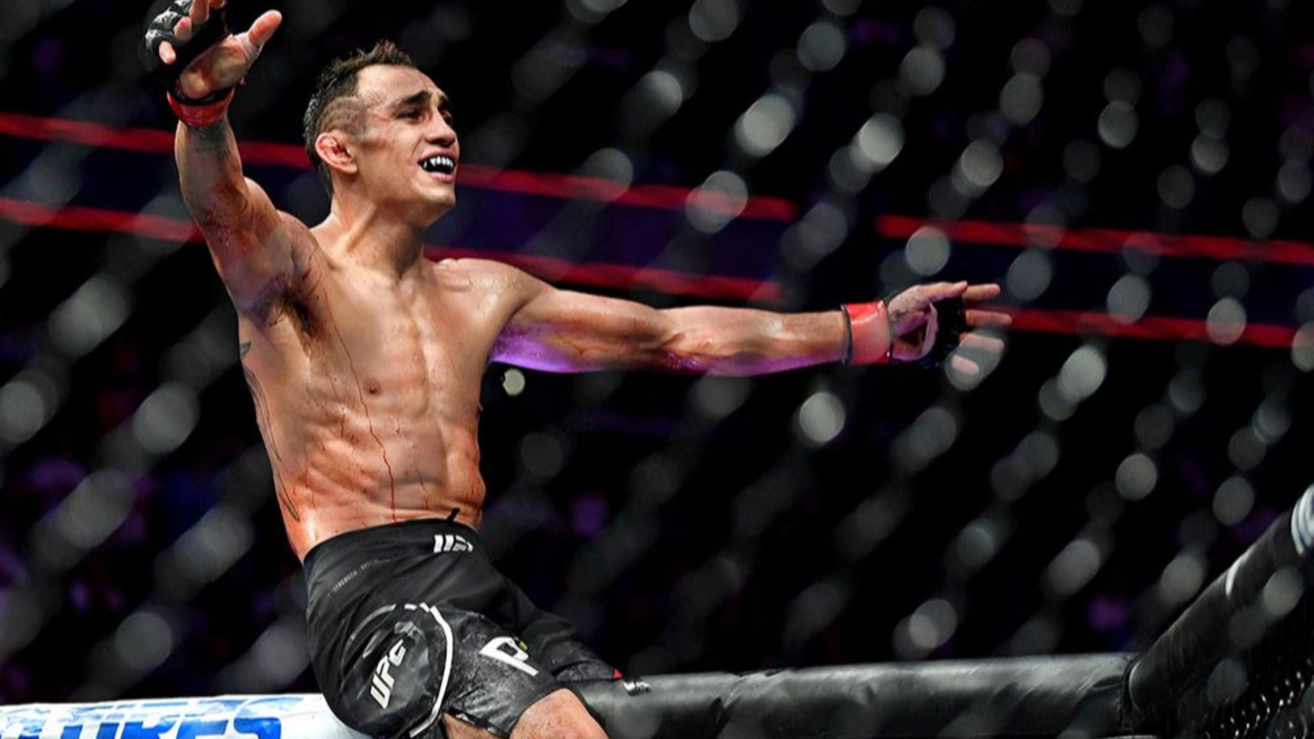 【油管近千万播放】肘过如刀 侵略如火！“夜魔”托尼•弗格森巅峰高光时刻合集