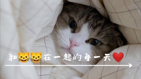 074dcb5aa7ea77a689d1226e7b73aee3adf87ee3.jpg@280w_158h_1c_100q.jpg