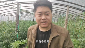 075692a90d626f2960fa5002d3e005a80e1a2103.png@280w_158h_1c_100q.jpg