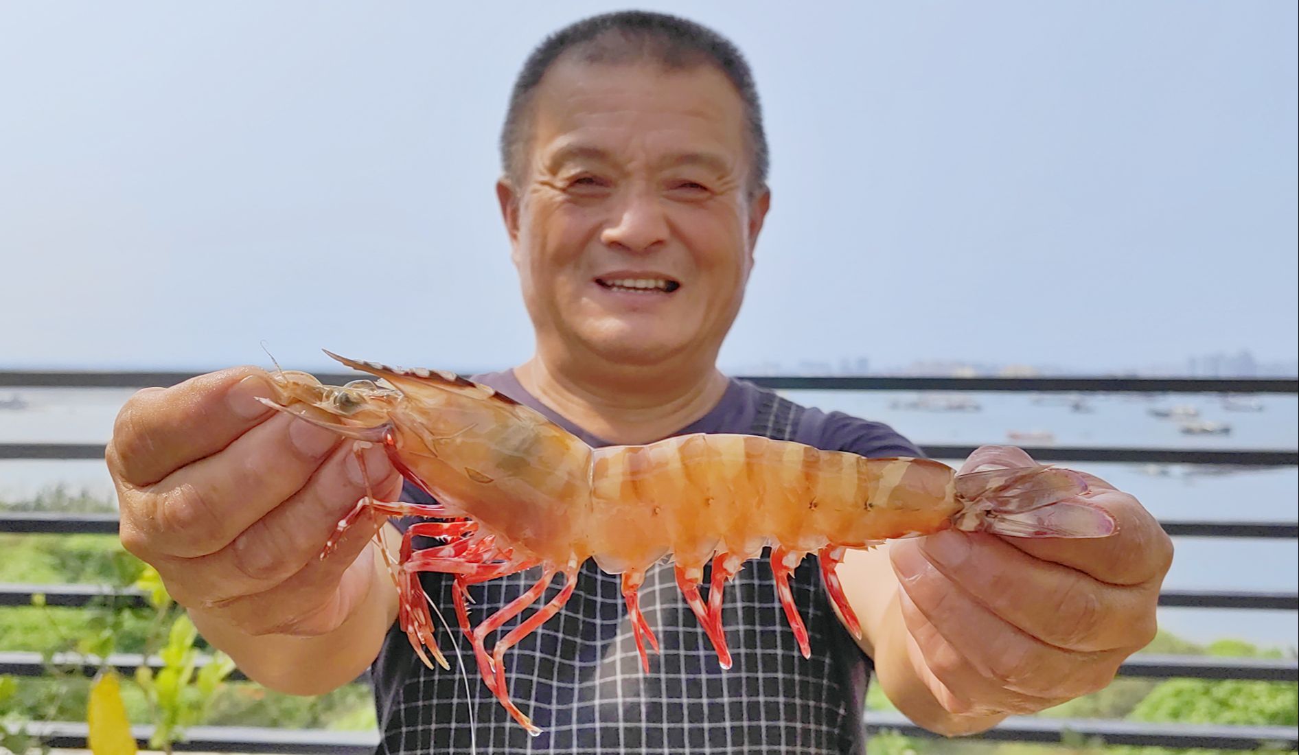 850买5斤红角虾，个个堪称虾王，做椒盐大虾吃得满嘴油