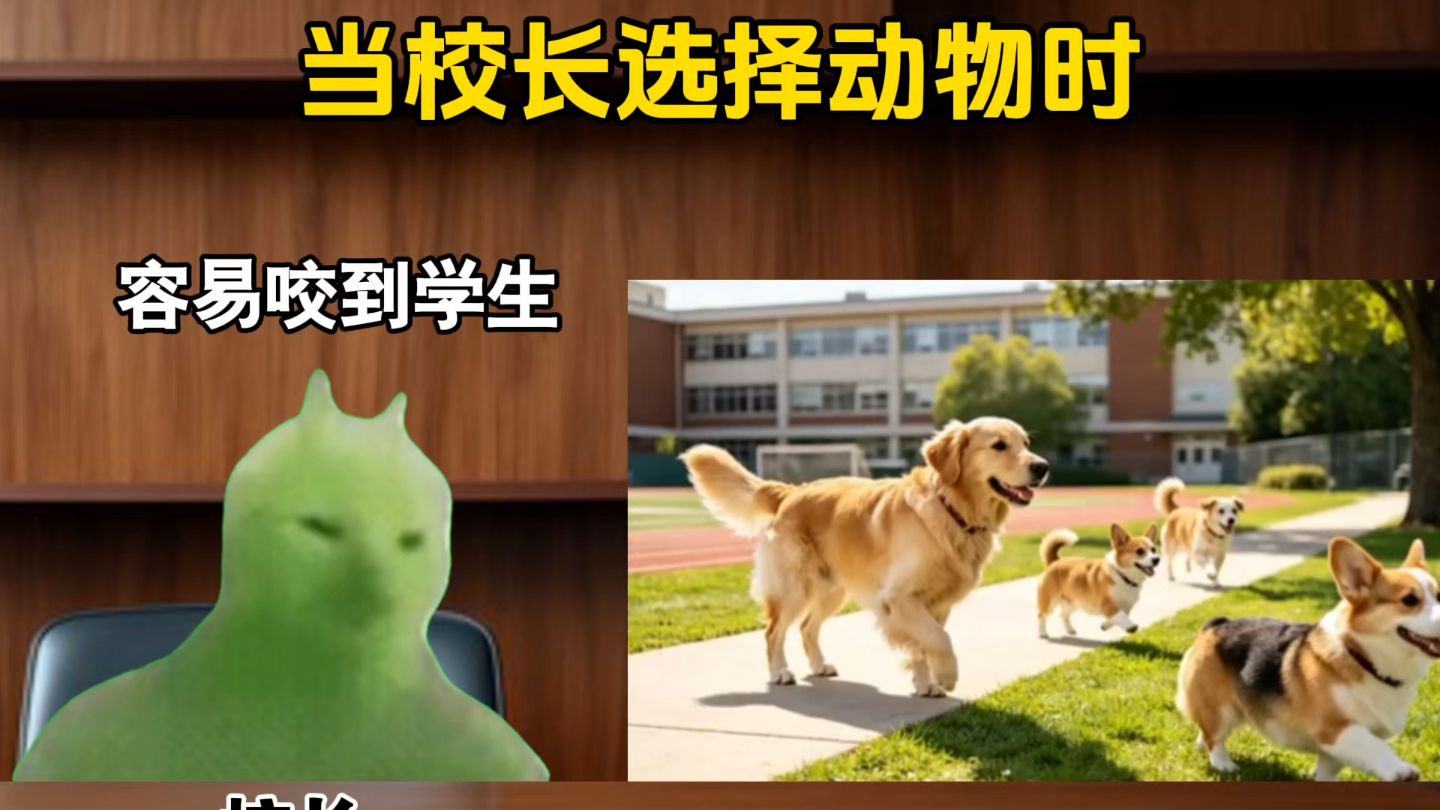 当校长选择动物时