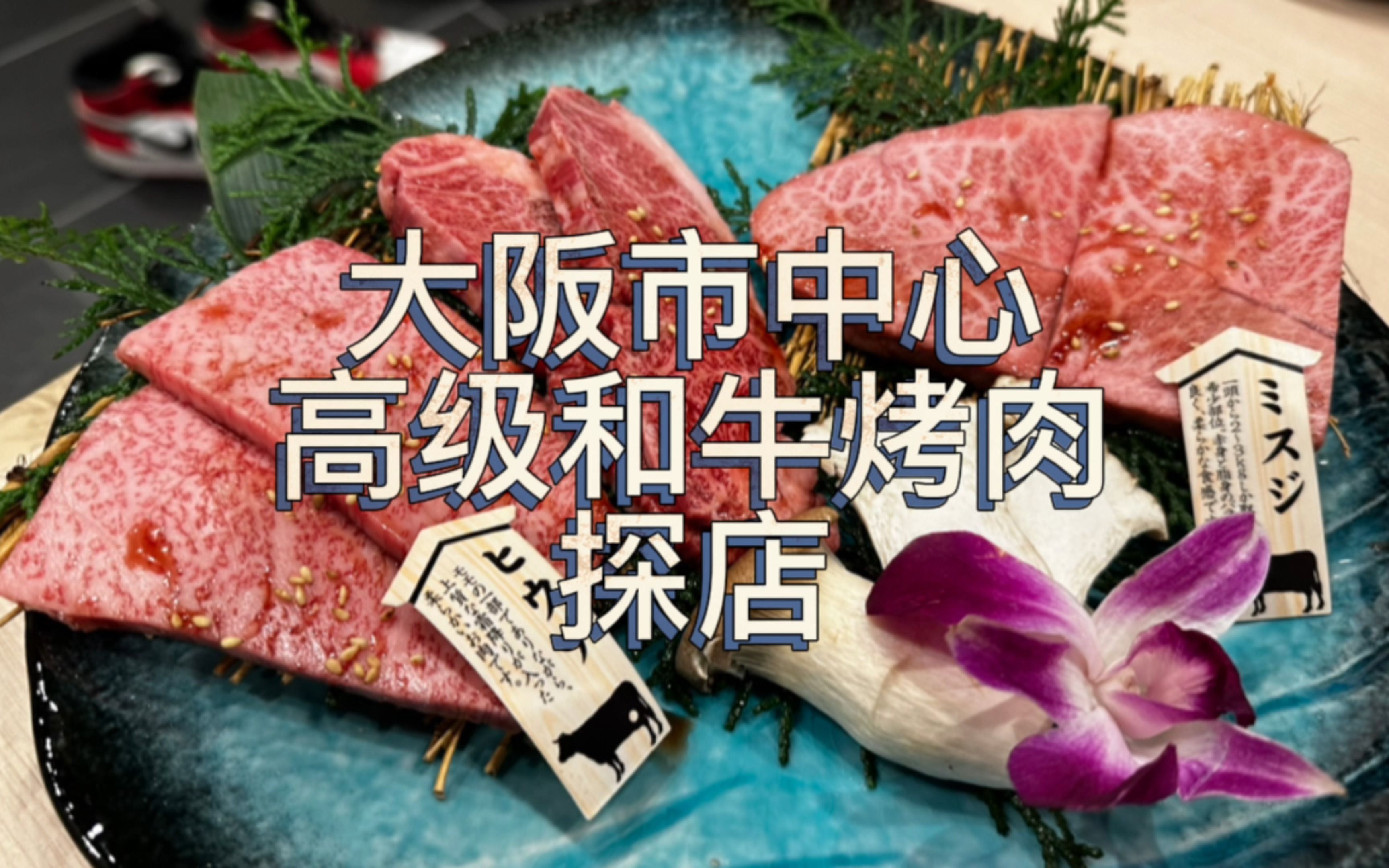 在日本吃一顿稀有产地的高级和牛OMAKASE烤肉套餐是什么体验？