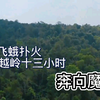 缅北杀人真实事件