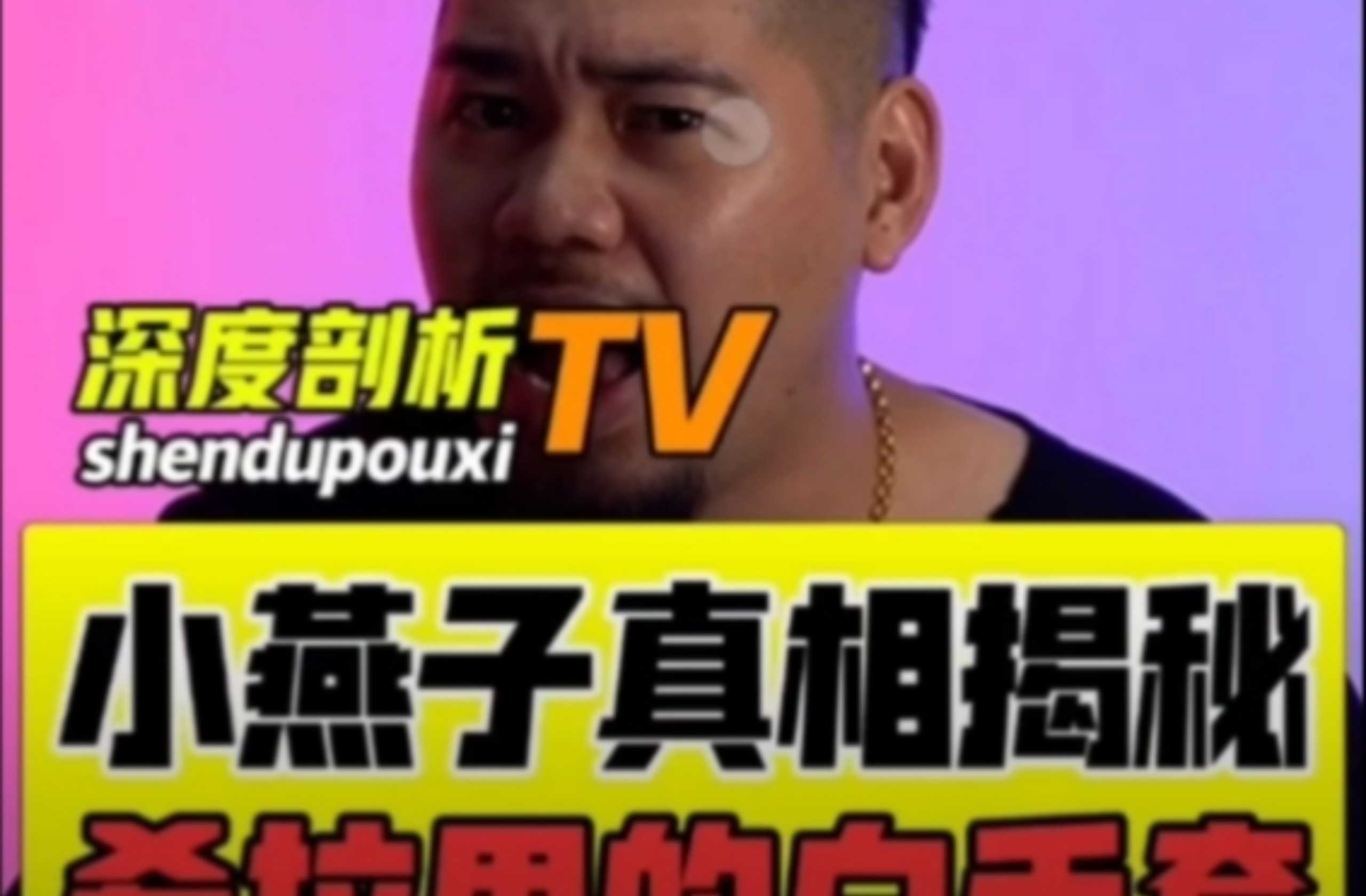 【公鸡光明系列】第一集：小燕子真相揭晓 希拉里的白手套