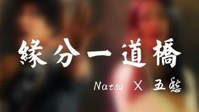 缘分一道桥曲谱_缘分一道桥简谱(3)