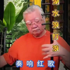 #非遗 #红歌 #民族乐器 #洪湖水浪打浪 #巴彦保力格四胡音乐