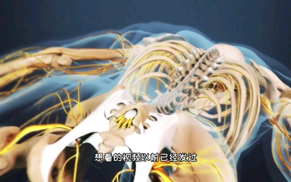 驼背的罪魁祸首，强直性脊柱炎的病因，3D演示。。