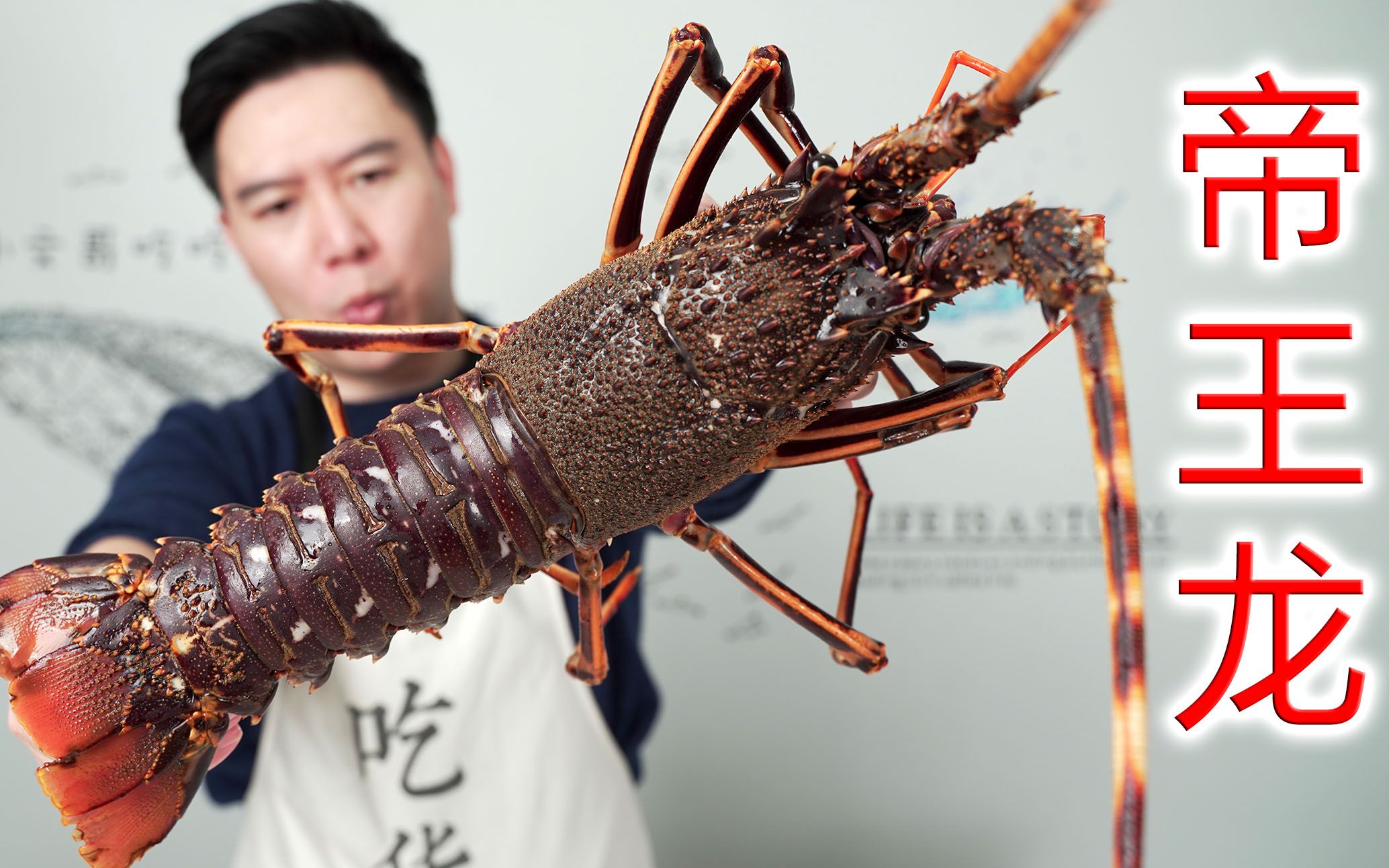 试吃非常罕见的帝王龙，做龙虾烩饭，超级好吃