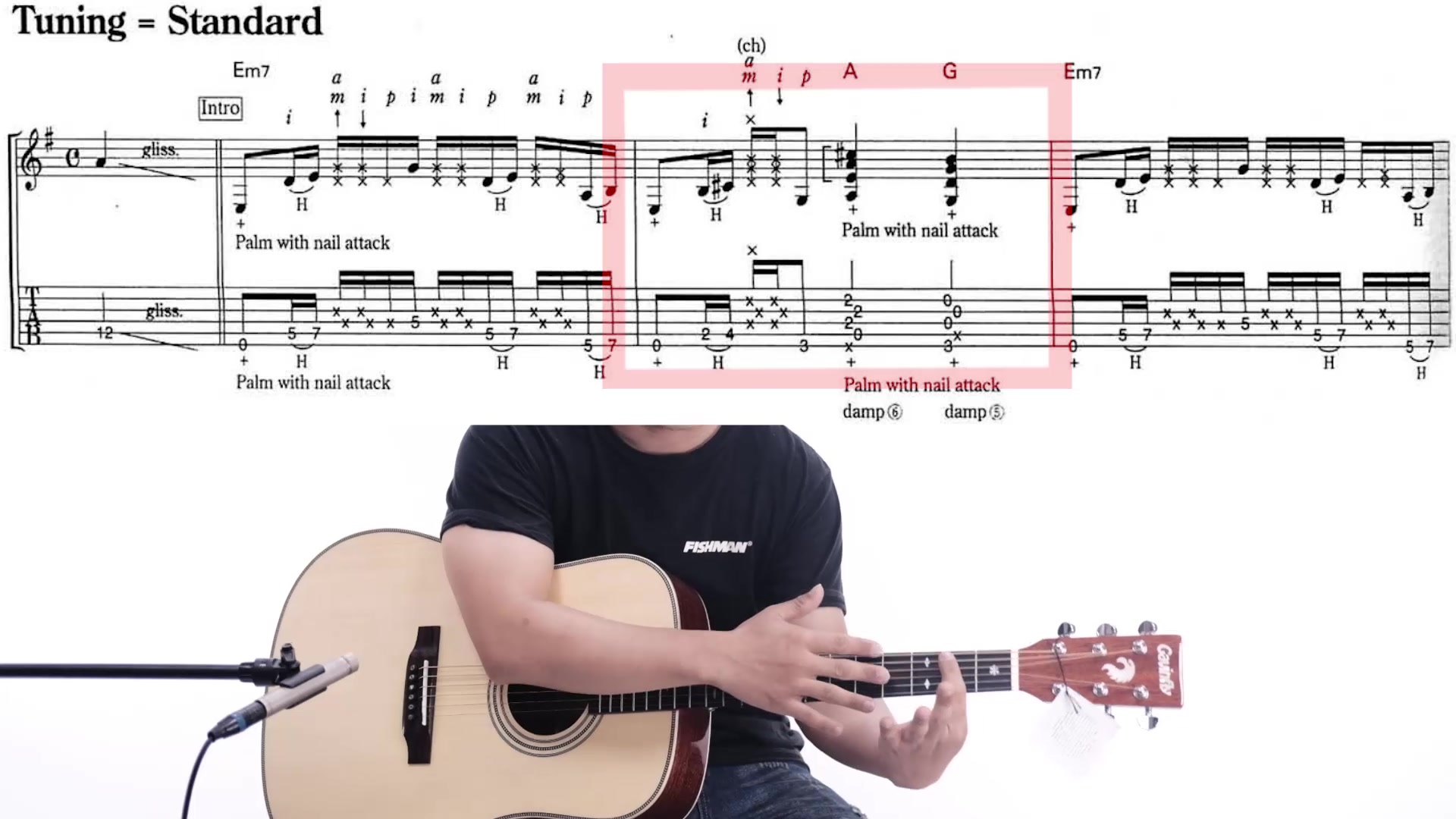 弘利乐器AM技巧教学家路