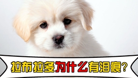 07e6cb8149f35258cb51e2412ea7628b7e6fb8e8.jpg@280w_158h_1c_100q.jpg