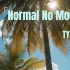2022超火英文歌曲《Normal No More》TYSM