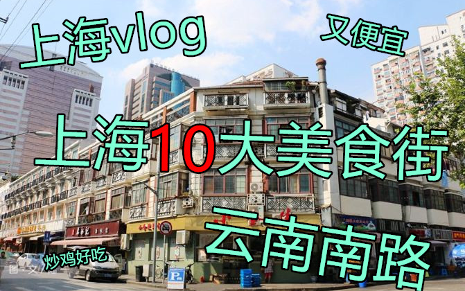 【Vlog 002】上海游记,去上海10大美食街#1 云南南路 (上海vlog)哔哩哔哩 (゜゜)つロ 干杯~bilibili