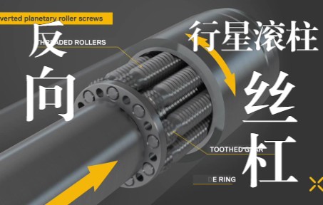 反向式行星滚柱丝杠 Inverted planetary roller screws