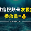 2025微信视频号全套教程（蝴蝶号起号教程精华版