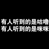 咕噜还是咪咪?纯享版